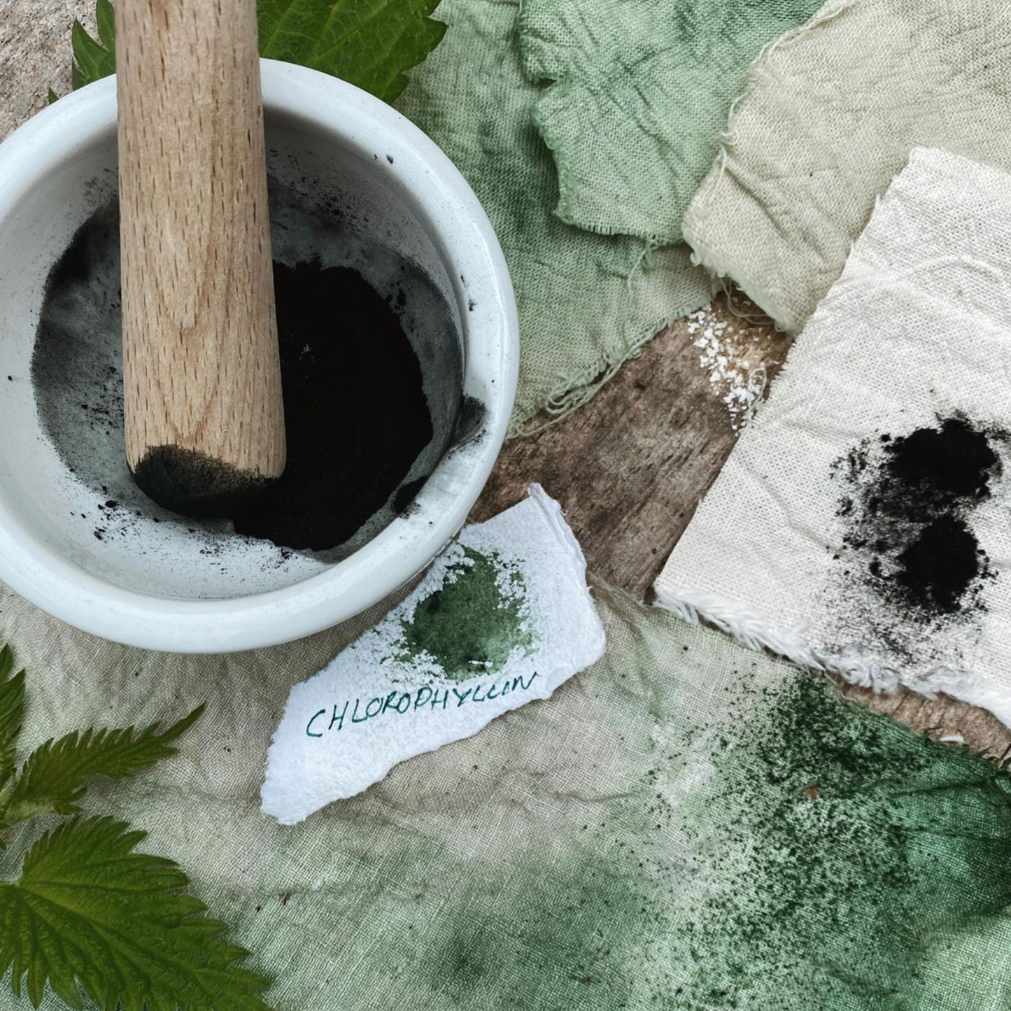 Natural Dyeing Workshop- Full Day (Online)